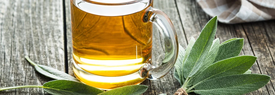 Tasse Kräutertee mit Salbeiblättern